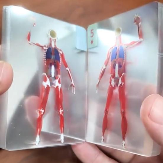 Le Jeu de Cartes Corps Squelette Modèle Cartes à Jouer Transparent Image Anatomie Humaine 3D
