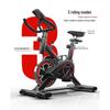 Yixunji YXJ-JS2019D Exercise Bike CN plug (adapter included)