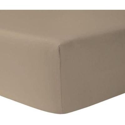 Fitted Sheet - SPECIAL DEEP POCKET - 100% Cotton - 160 X 200 Cm - Taupe - Tight Weave