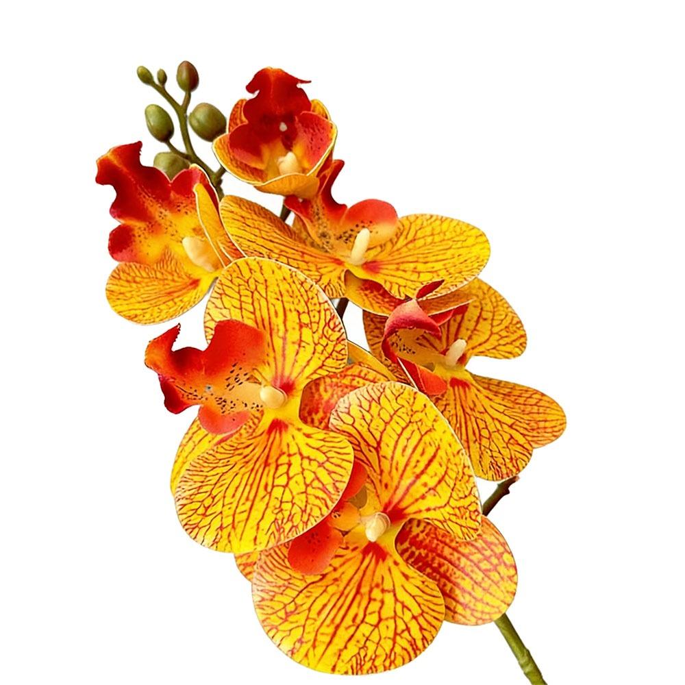 Butterfly Orchid Artificial Phalaenopsis Flower Long-lasting PVC Faux Orchid Stems Real Touch Single Branch Simulation Orchid