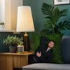 Singer A-Alex Warren Cushion Cover Home Bedding Sofa Living Room Pillowcase Simple Soft Skin Cushion Cover Party Gift