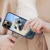 Chill Seal - Animals Cute Magnetic Phone Case For APPLE iPhone 17 Air 16 14 13 12 Pro Max 15 Plus Wireless Charge MagSafe Cover