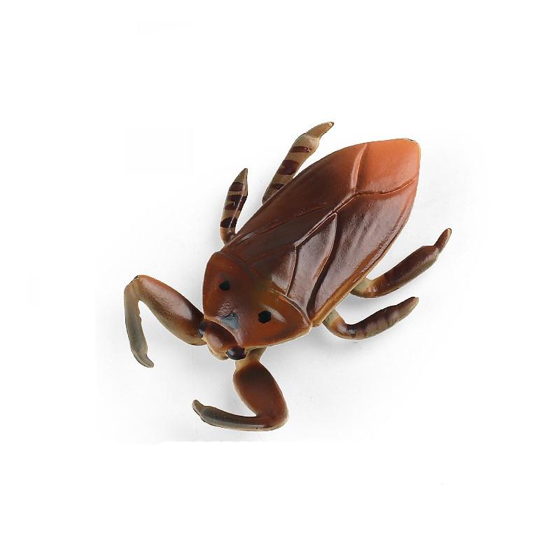 Insect Model Water Bug Toy With Plastic Material For Childrens Educational Play