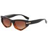 Cat Eye Sunglasses Men Women Fashion Irregular Gradient Eyewear Stylish Glamour Female Sun Glasses Trend Cat Eye Shades