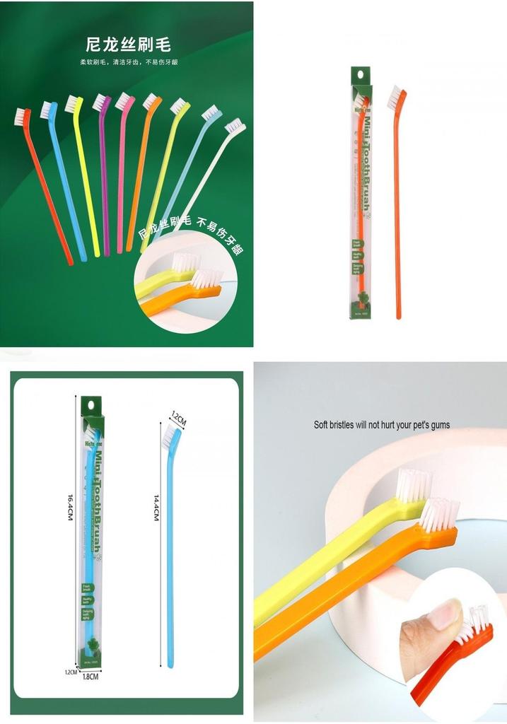 Wholesale Pet Toothbrush Universal Use Pvc Box Packaging Multiple Colors