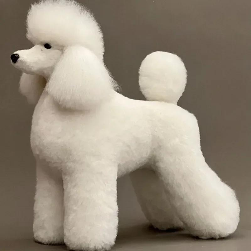 

Плюшевая собака Поддельные волосы Модель Красота Поддельные собаки Моделирование волос Модель Практика Моделирование Пуделя Скелет Уход Полное тело Подстричь