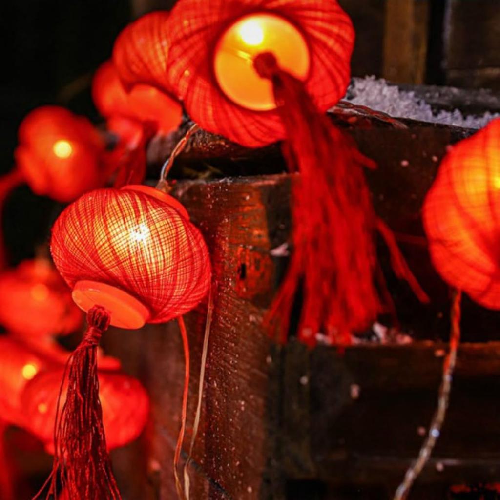 Siawadeky Chinese Lantern New Year Decoration Red Lantern String Lights 3M20 Bulbs LED USB Powered Waterproof Illumination Lights Lantern Decoration