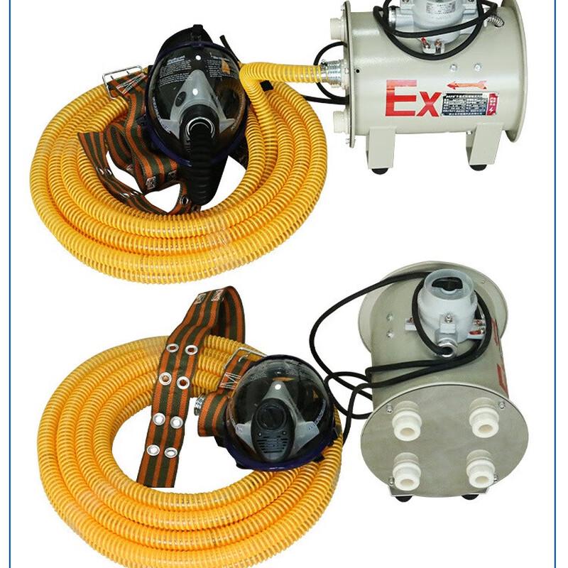 WEZHO Commercial Explosion-Proof Electric Long-Tube Respirator