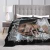 KATSEYE Megan Kpop Y2K Group Blankets Flannel Spring Autumn Breathable Lightweight Throw Blanket for Bed Couch Plush Thin Quilt
