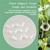 100/300-Piece Plant Support Clip Set – 3x0.9cm Garden Trellis Clips For Tomatoes, Cucumbers, Roses, Vines – Hollow Design, Reusable