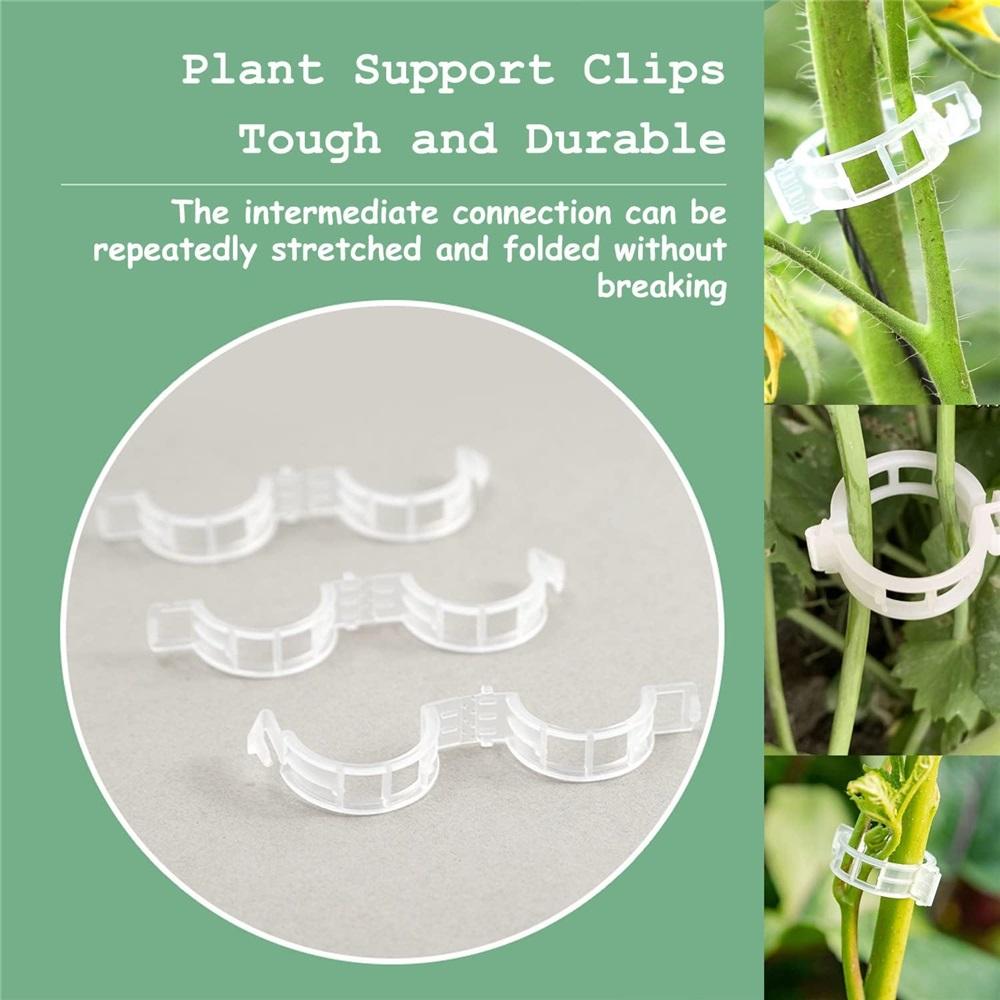 100/300-Piece Plant Support Clip Set – 3x0.9cm Garden Trellis Clips For Tomatoes, Cucumbers, Roses, Vines – Hollow Design, Reusable