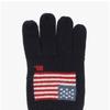Polo Ralph Lauren Flag Touch Screen Gloves Pc1443 443