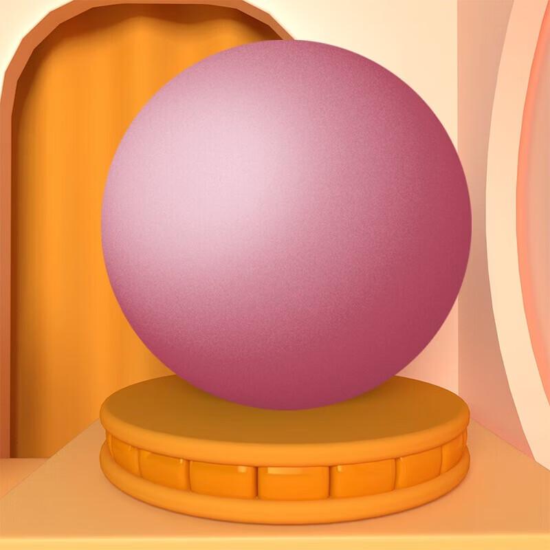 WEZHO Pilates Mini Fitness Ball Set