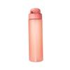 Animal Straw 700ml Water Bottle