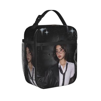 Lebensmittelbehälter – Picknick-Taschen