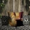 Album DionS cushion cover Pillow Cover Case C-Celine Singer Room Bedroom Sofa Living Backrest Car Square Headboard