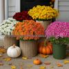 Sunset Chrysanthemum Bouquet: 5 Colors, 7 Stems, 21 Artificial Flowers for Mother's Day or Autumn Porch Décor