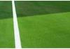 Artificial Grass Turf Wall Decoration for Fruit Store and Sunroom