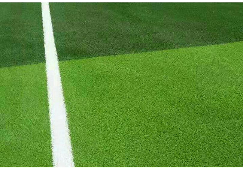 Artificial Grass Turf Wall Decoration for Fruit Store and Sunroom
