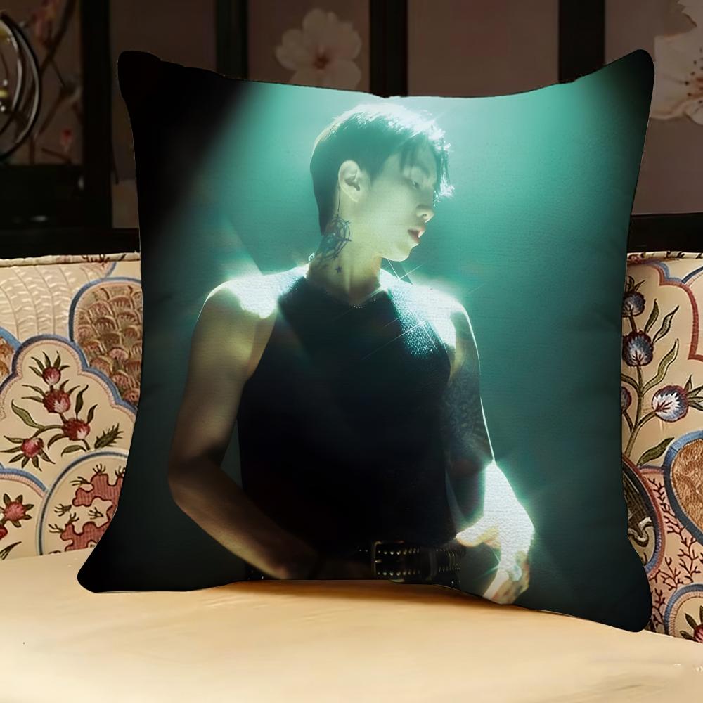Jay P-park Singer Pillow Case Pillowcase, Double-sided Printed, Sofa Cushion, Bedroom Headboard Pillow