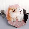 Happy Samoyed Pattern, Automatic Folding Umbrella, Portable and Foldable Design, 8 Ribs, a Christmas or Birthday Gift.