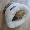 Cat Sleeping Bag Winter Warm Soft Plush Cat Nest Semi-Enclosed Sleeping Basket Home Cat and Dog Comfortable Bed Accessories