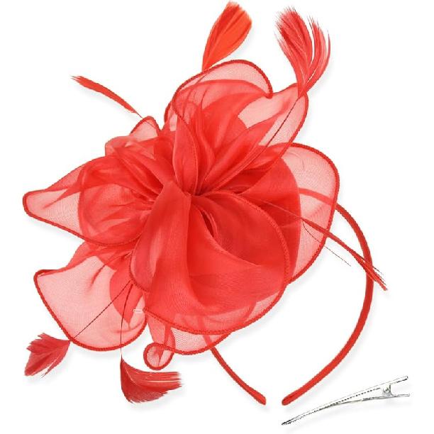 DRESHOW Fascinators Hat Tea Party Headwear Ribbons Feathers on a Headband and a Clip for Women