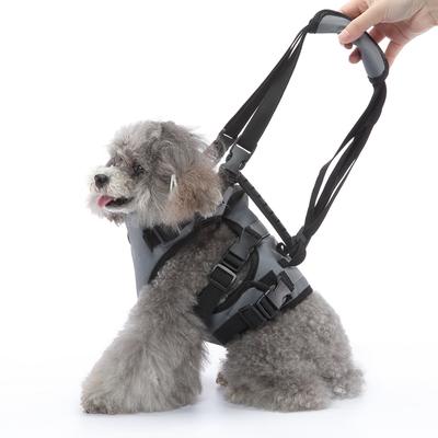 Supporto Pettorina per Cani per Cani Disabili Pettorina di Sollevamento per Cani Imbracatura di Riabilitazione Supporto Vita per Cani Anziani con Lesioni Articolari Camminare