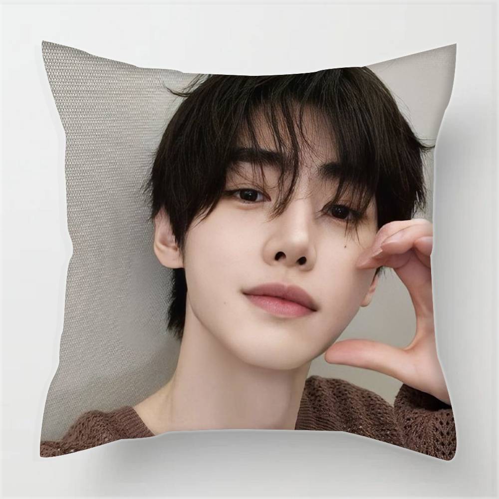 Federe fodere cuscini divani soggiorno decorazioni per la casa regali Park S-ung-hoon Cantante Pop