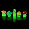 5PCS Set Mini DIY Wild Mushroom Ornament with Cute Expression Glow in The Dark for Fairy Garden Home Decoration Accessories