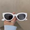 Cute Sexy Retro Cat Eye Sunglasses Woman Small Frame Black Gradient Ladies Sun Glasses Vintage Brand Designer