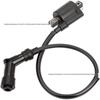High-Voltage Ignition Coil for Off-Road Motorcycles, ATVs, and Beach Buggies (GY6 125CC/CG 125cc/150cc/200cc)