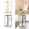 Chic Jewelry Display Stand for Elegant Necklace And Earring Showcase