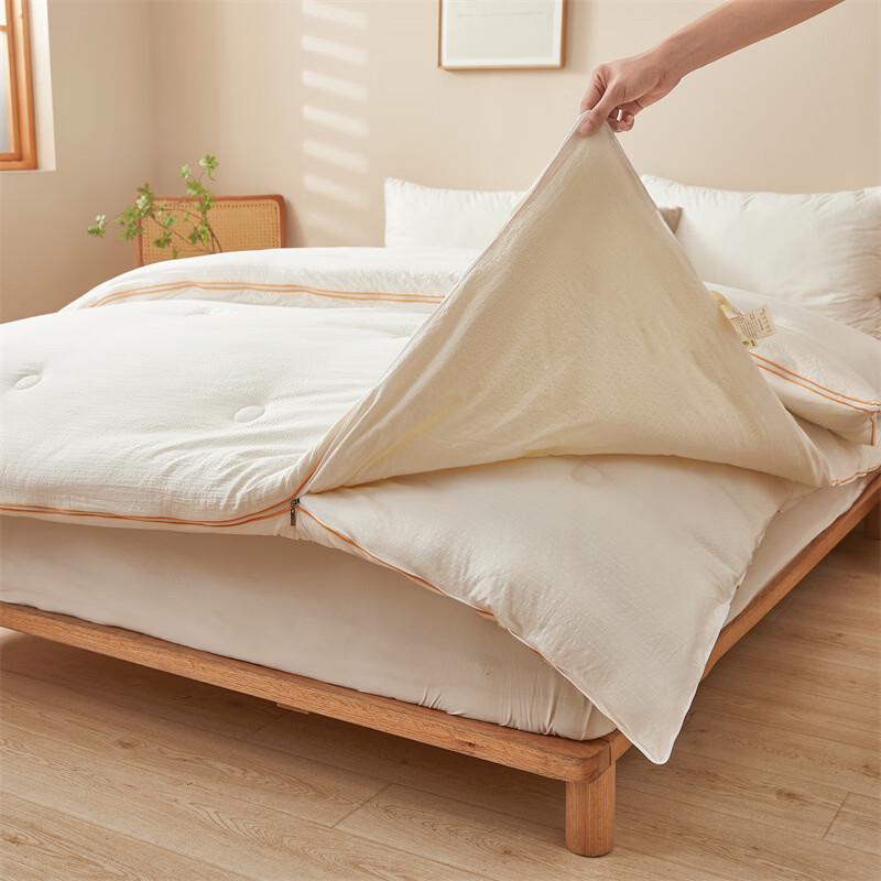 LISM All-Season Soy Fiber Thickened Quilt