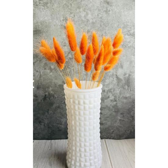 Orange getrocknetes Wollgras, Hasenschwanz, Brautstrauß, Arrangement, Blume Lagurus, 30 Zweige