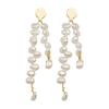 Light Luxury High-grade Cold Wind Pearl Fringed Earrings Multi-color Simple Long Irregular Earrings