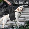 Dog Support Wrap for Senior Dogs with Sliding Fit Controls, Soft-Lined Chest Panel, and Two Handles for Guided Short Walks