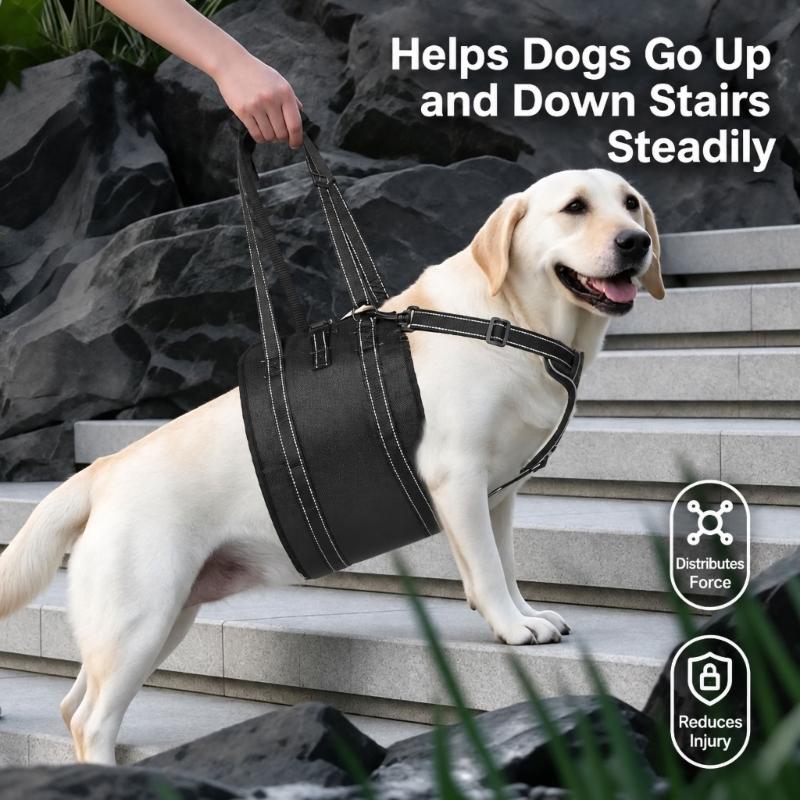 Dog Support Wrap for Senior Dogs with Sliding Fit Controls, Soft-Lined Chest Panel, and Two Handles for Guided Short Walks