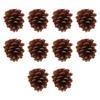 10pcs Bird Bite Pine Cones Natural Pine Cone Chewing Bird Toy for Parakeet Cockatiel Conure Finch Budgie Macaw