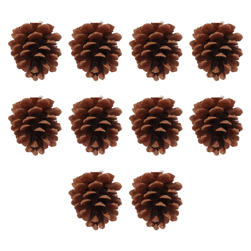 10pcs Bird Bite Pine Cones Natural Pine Cone Chewing Bird Toy for Parakeet Cockatiel Conure Finch Budgie Macaw