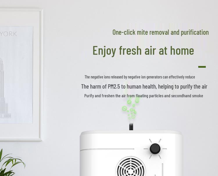 Home Air Purifier: Odor, Formaldehyde, and Smoke Remover with Ozone & Negative Ion Sterilization