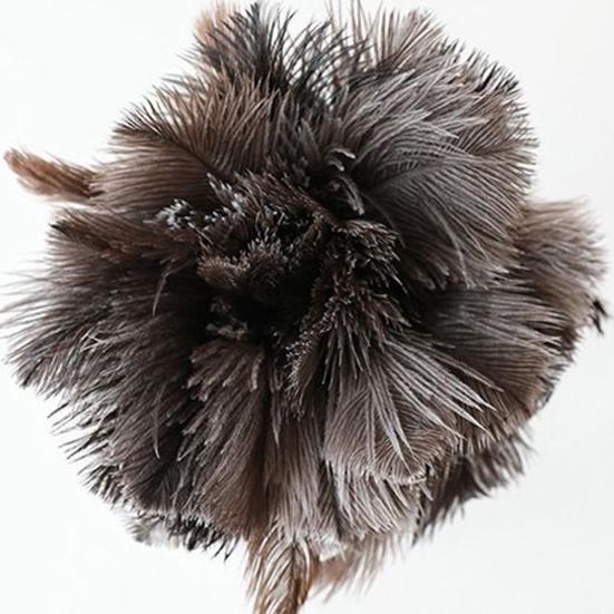 Extendable Ostrich Feather Duster Long Handle Rugged Design Telescopic Pole Duster Reusable
