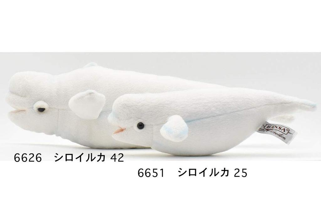 BH6626 HANSA Beluga 42