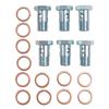 Complete Set of Fuel Overflow Screws with Washers KN4-2 with Increased Flow, 3-hole ANDORIA