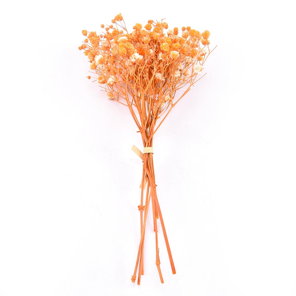 

Photo Backdrop Natural Decorative Small Dried Flowers Babysbreath Bouquet Gypsophila Dry Flower orange
