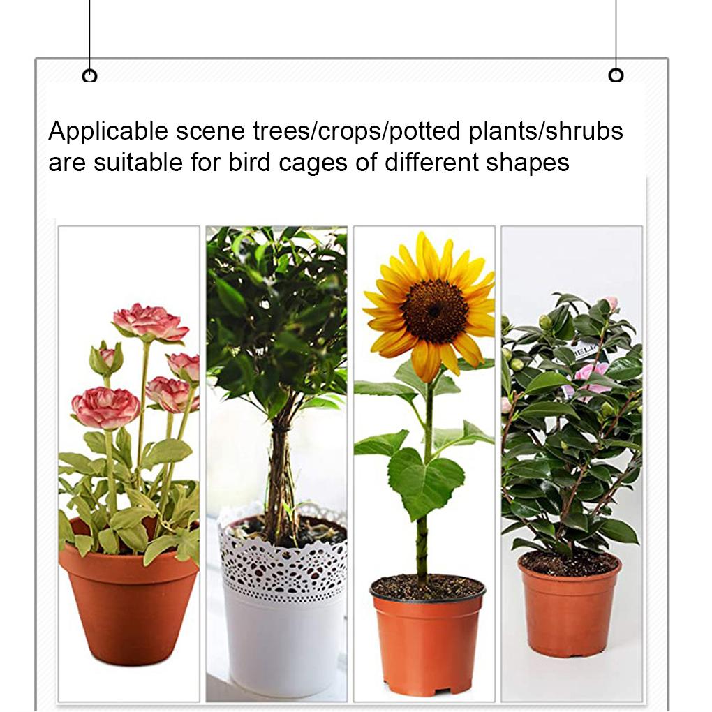 Garden Netting For Veg Patch – Protect Garden With Fine Mesh Netting Garden Netting For Veg Patch Fine Mesh Durable