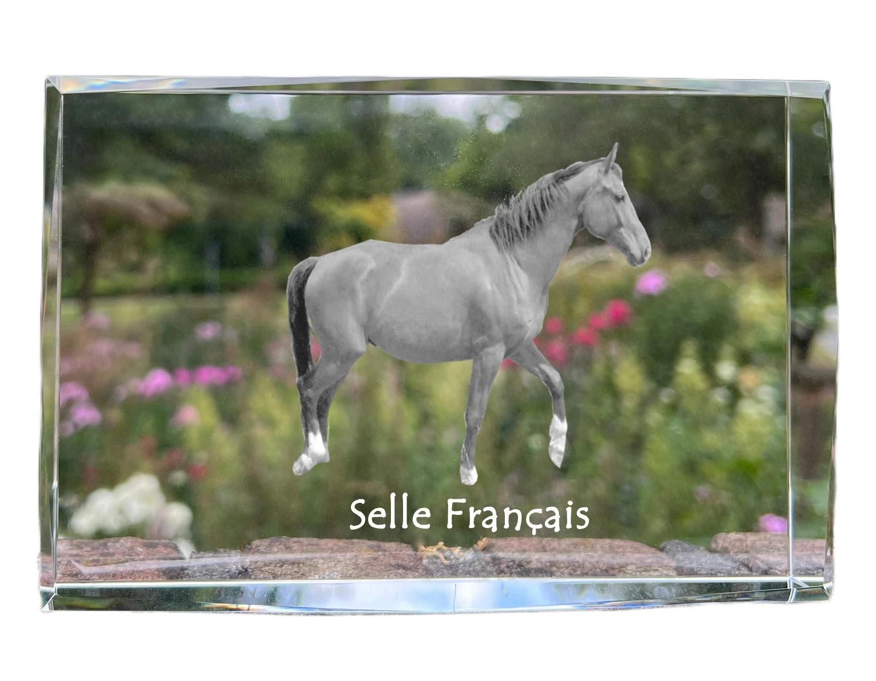

Selle Francais - кришталь із зображенням коня, фото в склі, сучасна виставка фотографій бренду Art-Dog прозорий