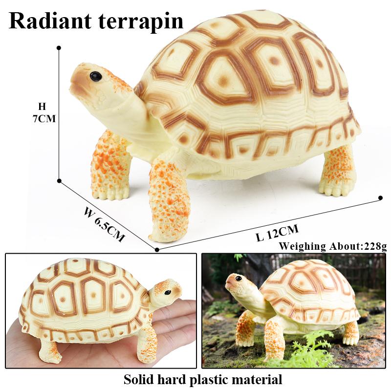 Oenux Sea Life Animals Model Leatherback Tortoise Turtle Growth Cycle Ocean Figurines Action Figures PVC Collection Kid Toy Gift