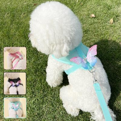 Perros – Collares y correas