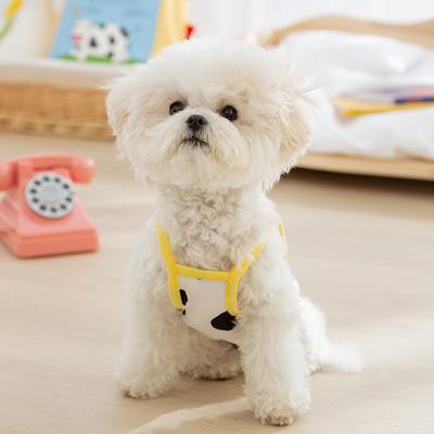 Cute Three-dimensional Fruit Dog Clothes Spring and Summer Traction Teddy Bear Small Dog Bipod Pet Sling